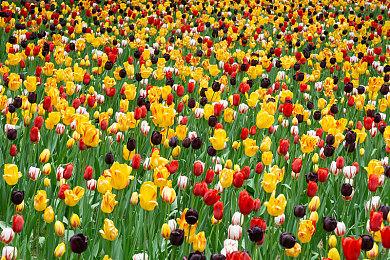 CDPR解释为什么《赛博朋克2077》的多人模式被取消